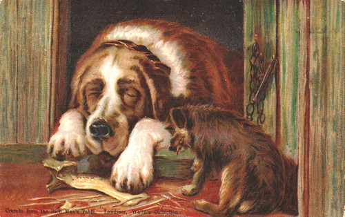 1925 zwei hunde - ,