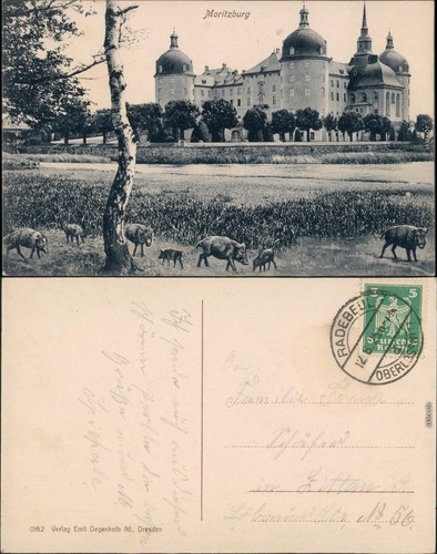 Ansichtskarte moritzburg - ansichtskarte,