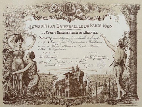Bronze medaille gewinner - medaille,